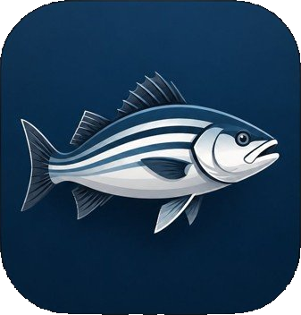 Striped Bass